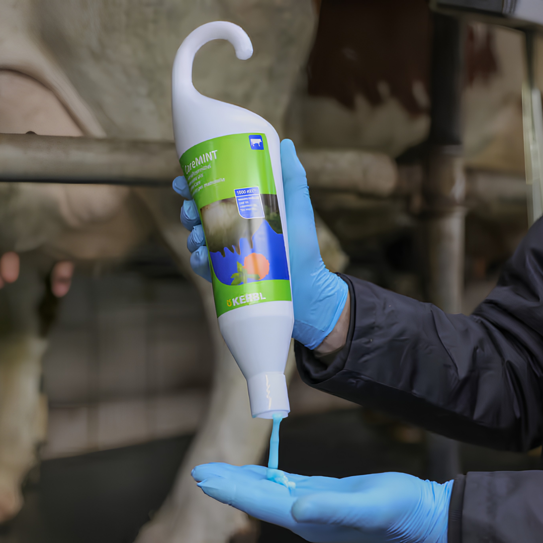 Tesmeņa kopšanas losjons CareMint 1000 ml