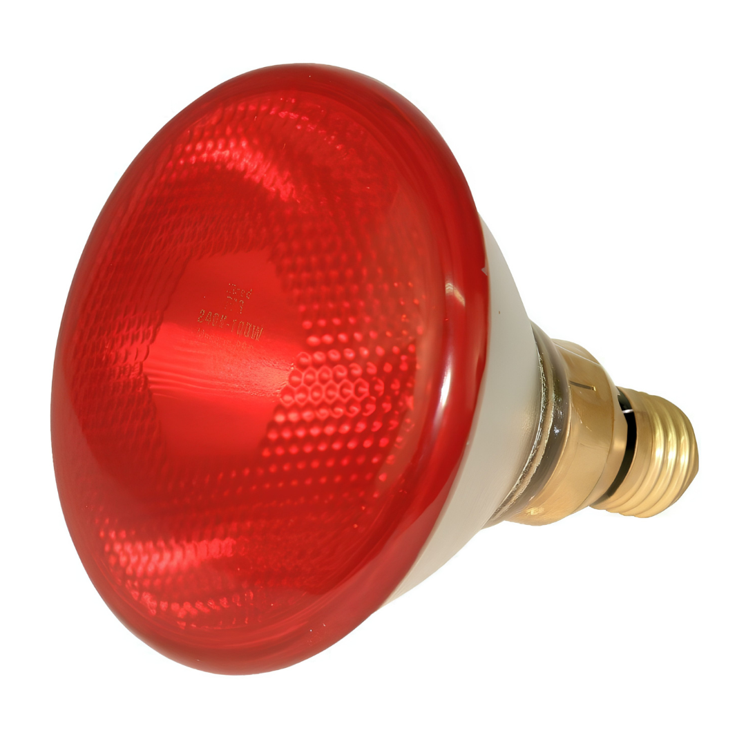 Infrasarkanā sildspuldze PAR38 100 W sarkana