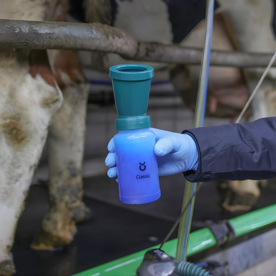 Dipēšanas trauks ar atplūdi 300 ml