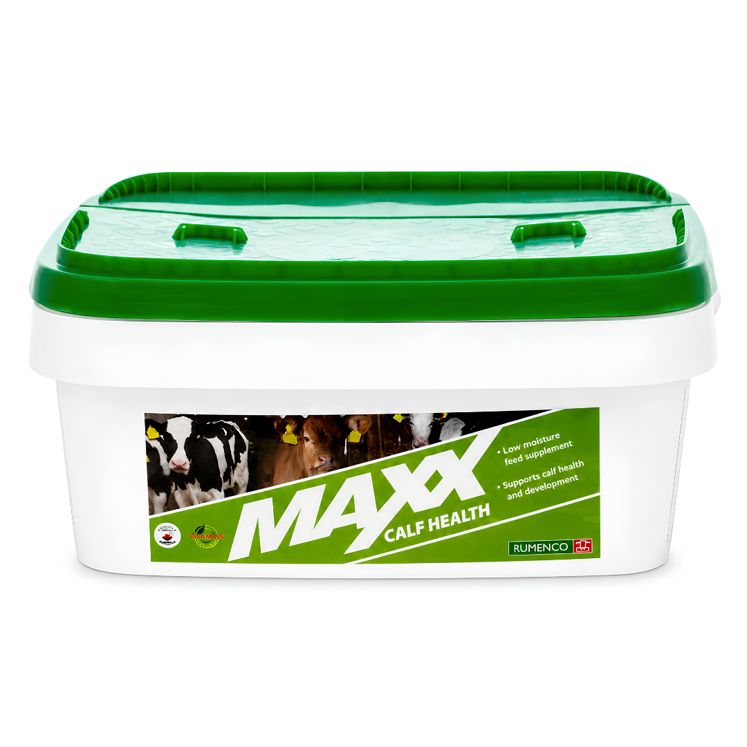 Laizāmā bļoda teļiem MAXX Calf Health 7.5 kg