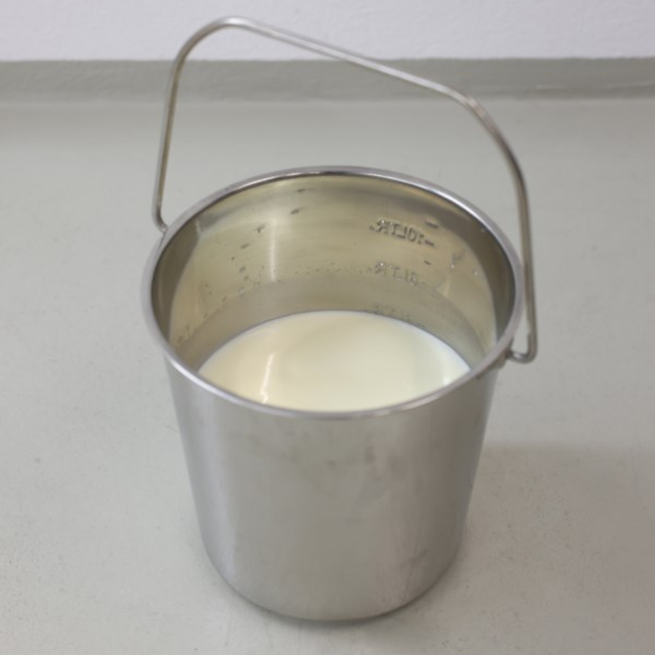 Stainless steel bucket (milking) 5.7 L