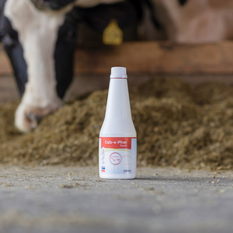 Solution with calcium and phosphorus Calz-o-Phos, 500 ml