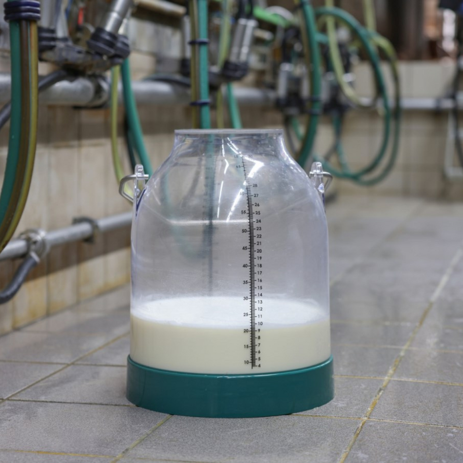 Milking plastic can 30 L, green
