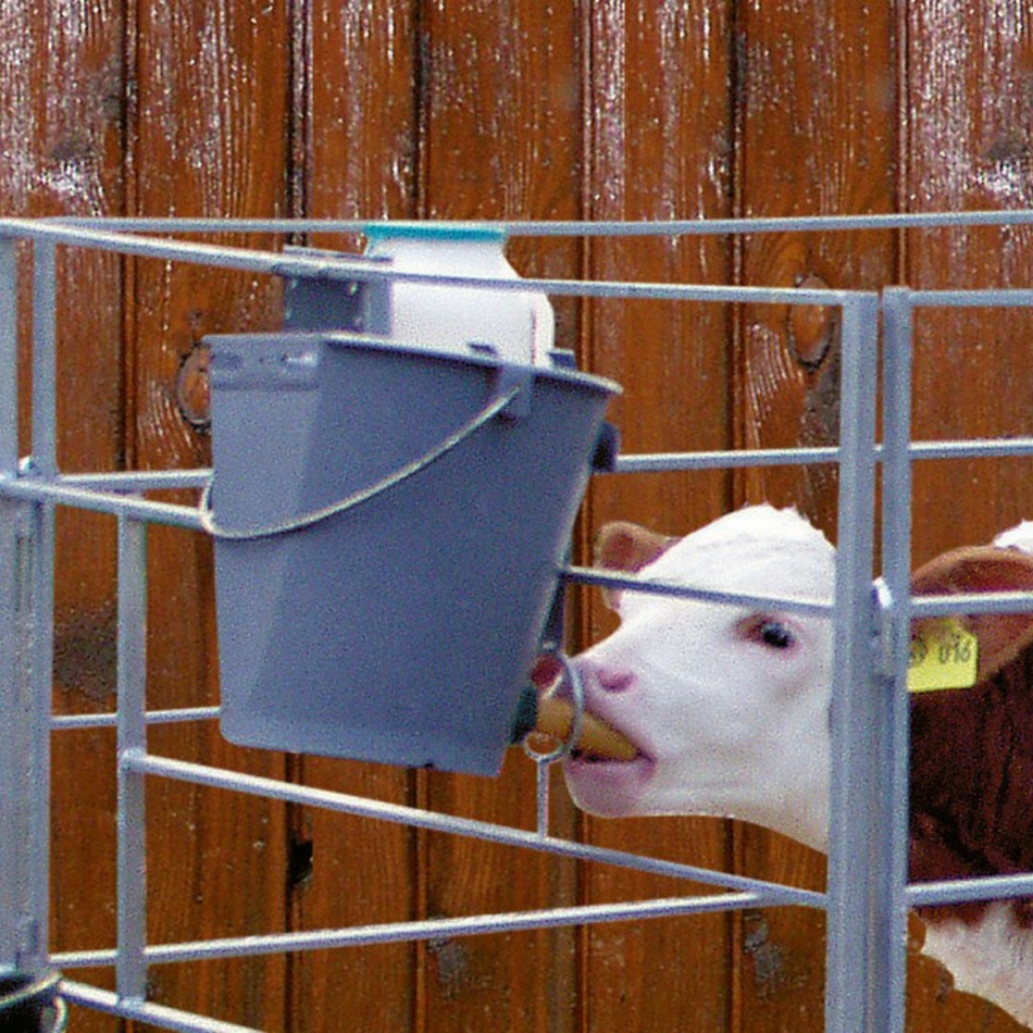 Calf feeding bucket 8 L