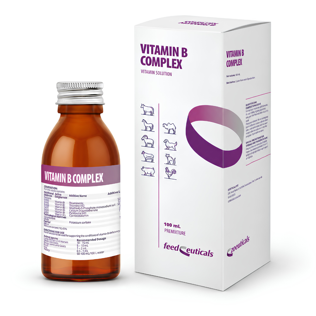 B grupas vitamīnu šķīdums dzīvniekiem 100 ml