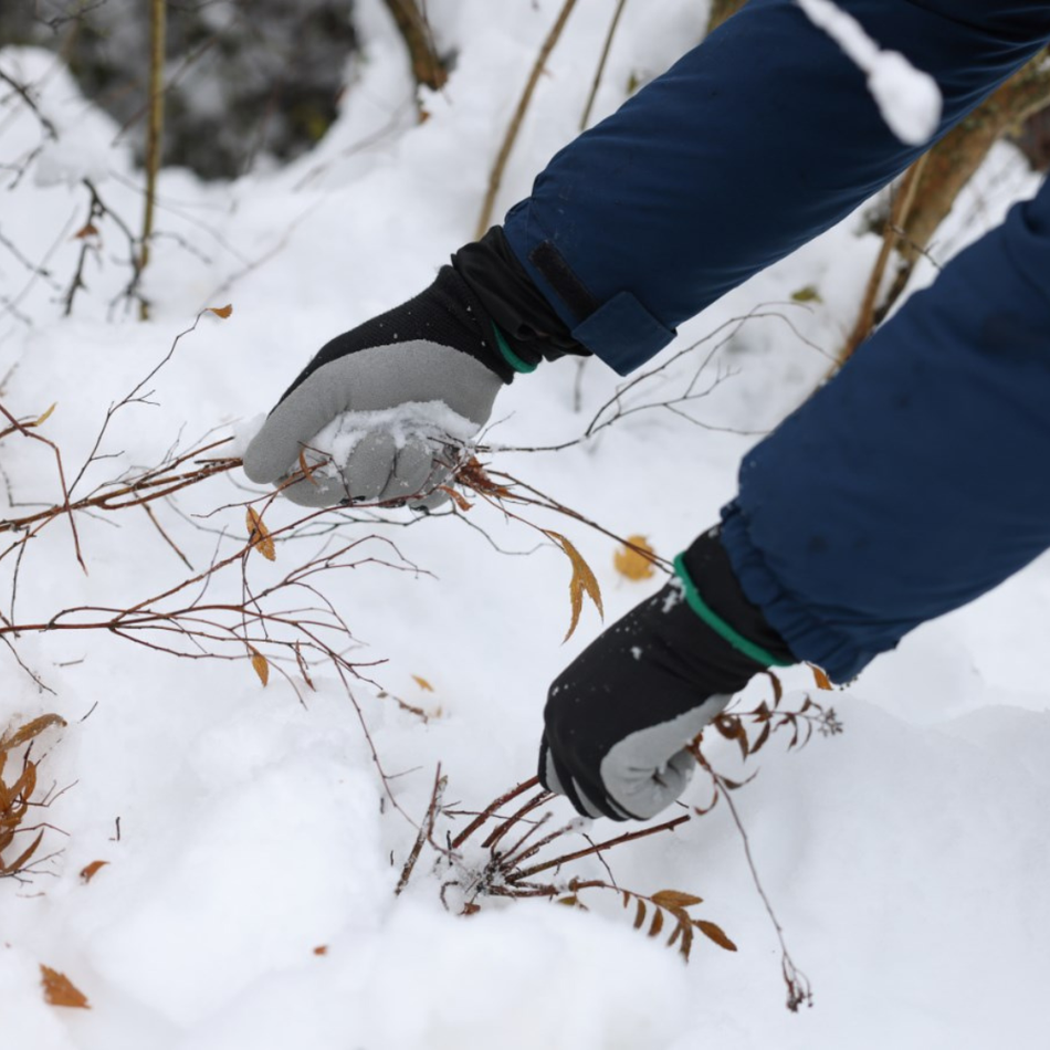 Ziemas cimdi Winter Lite, L izmērs
