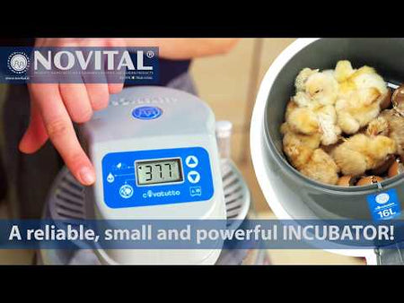 Olu inkubators Novital Covatutto 16L Fan